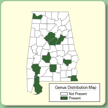 Genus Distribution Map