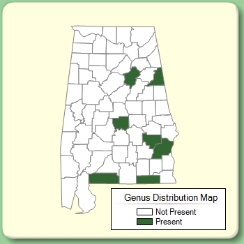 Genus Distribution Map