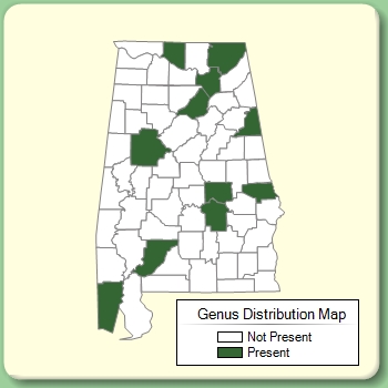 Genus Distribution Map