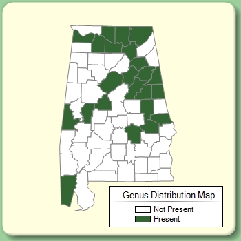 Genus Distribution Map