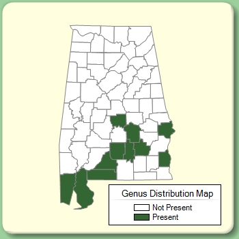 Genus Distribution Map