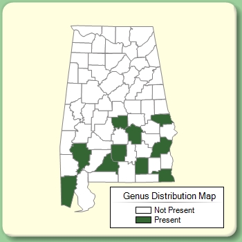 Genus Distribution Map