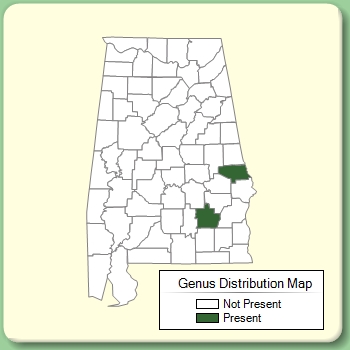 Genus Distribution Map