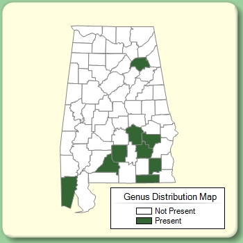 Genus Distribution Map