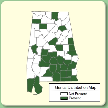 Genus Distribution Map