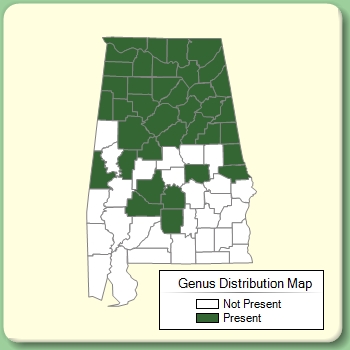 Genus Distribution Map