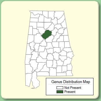 Genus Distribution Map