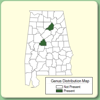 Genus Distribution Map