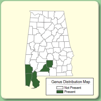 Genus Distribution Map