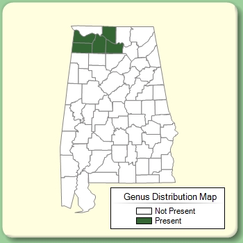 Genus Distribution Map