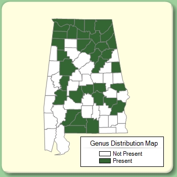 Genus Distribution Map