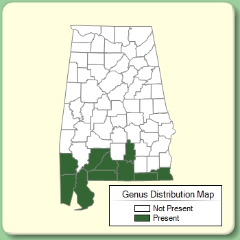 Genus Distribution Map