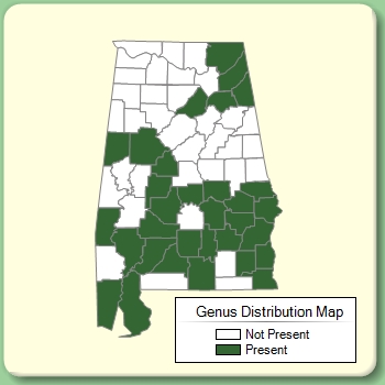 Genus Distribution Map