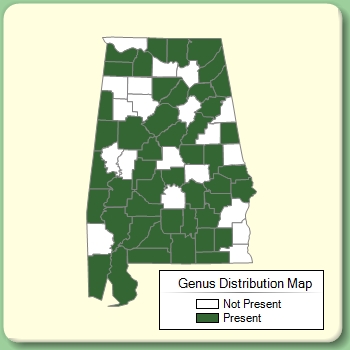 Genus Distribution Map