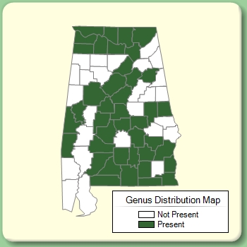 Genus Distribution Map