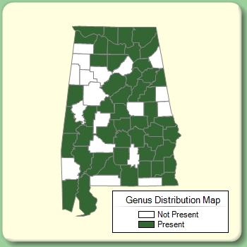 Genus Distribution Map