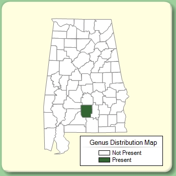 Genus Distribution Map