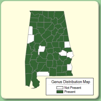 Genus Distribution Map