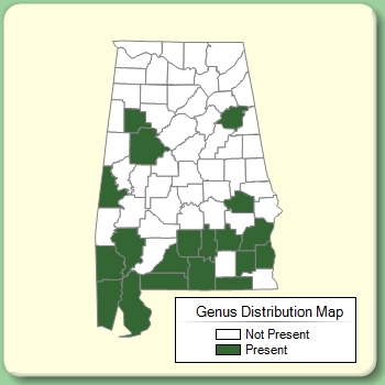 Genus Distribution Map