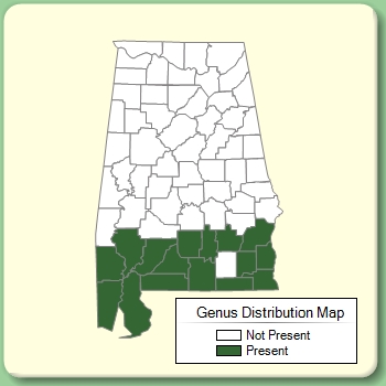 Genus Distribution Map