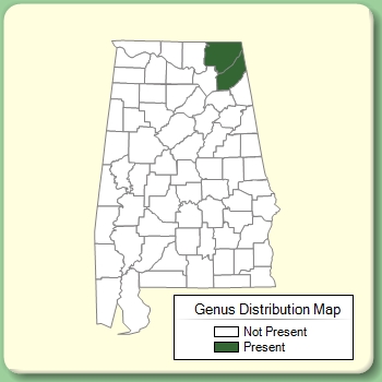 Genus Distribution Map