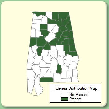 Genus Distribution Map