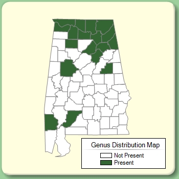 Genus Distribution Map