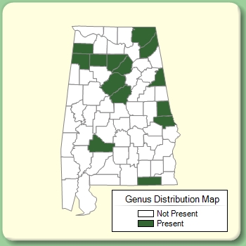 Genus Distribution Map