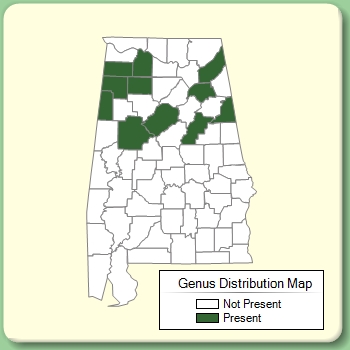 Genus Distribution Map