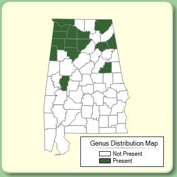 Genus Distribution Map