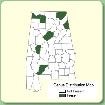 Genus Distribution Map