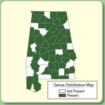 Genus Distribution Map