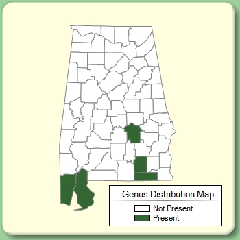 Genus Distribution Map