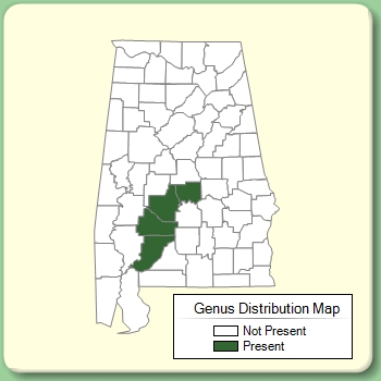 Genus Distribution Map