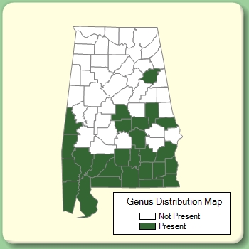 Genus Distribution Map