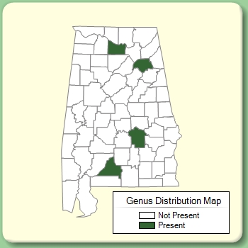 Genus Distribution Map