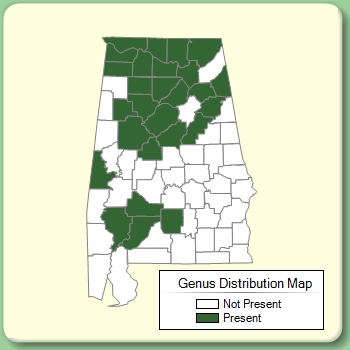 Genus Distribution Map