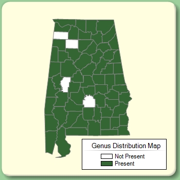 Genus Distribution Map