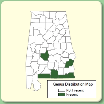 Genus Distribution Map