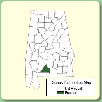 Genus Distribution Map