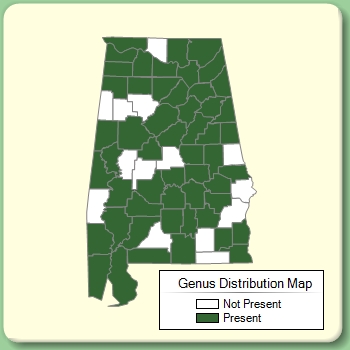 Genus Distribution Map