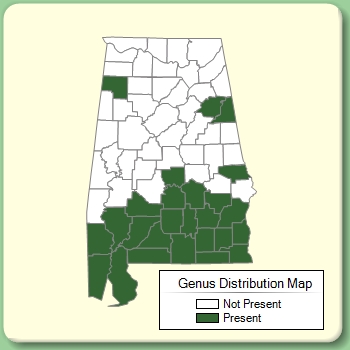 Genus Distribution Map