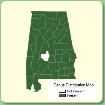 Genus Distribution Map