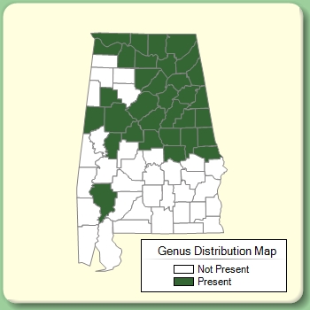 Genus Distribution Map