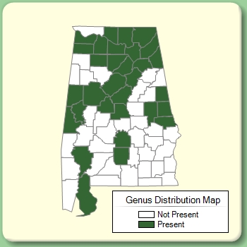 Genus Distribution Map