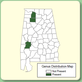 Genus Distribution Map