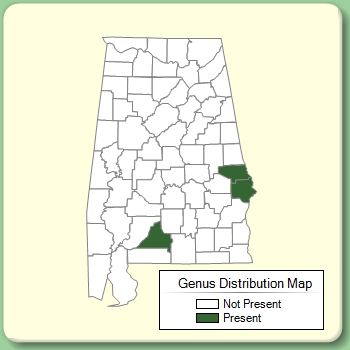 Genus Distribution Map