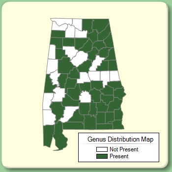 Genus Distribution Map