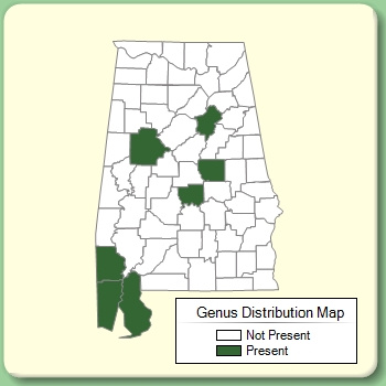 Genus Distribution Map