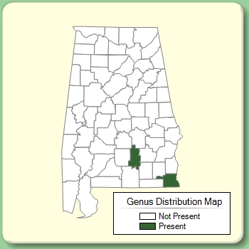 Genus Distribution Map